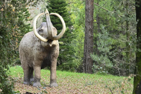 Outdoor Life Size Reconstruction Extinct Mammoth — Stock Photo, Image