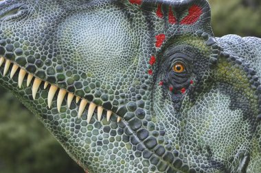 Tüylü Tyrannosaurs 'un olası renklerle yeniden inşası.