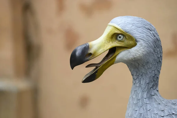 Lebensgroße Rekonstruktion Des Ausgestorbenen Auf Mauritius Endemischen Dodo Vogels Raphus — Stockfoto