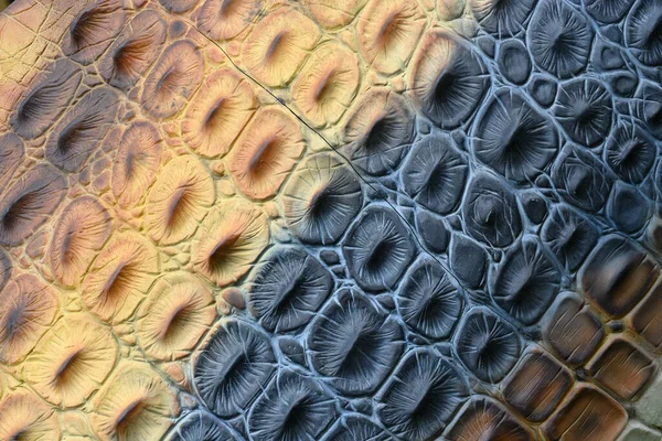 Reconstruction Detail Flaked Skin Prehistoric Dinosaur — Stock fotografie