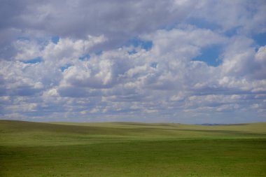 Küresel ısınma yeryüzündeki kurak manzarayı oluşturdu.