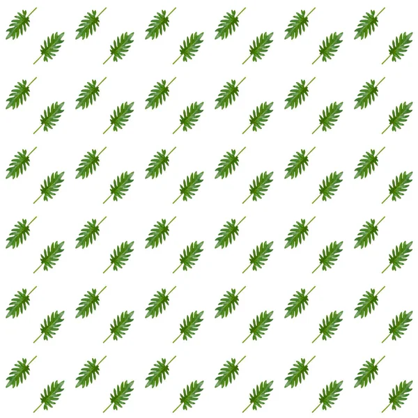 Leaves Pattern White Background Can Tile Seamless — Fotografia de Stock