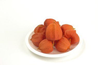 Physalis beyaz
