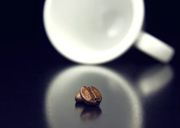 Two beans — Stock Photo, Image