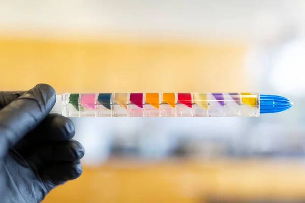 Біохімічний Тест Ідентифікації Мікроорганізмів Різні Організми Будуть Виробляти Різні Кольорові — стокове фото