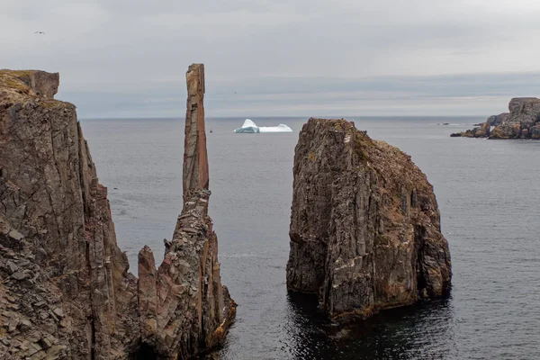One Newfoundland Most Beautiful Locations Spillars Cove Rugged Coastline Icebergs — Stock Photo, Image