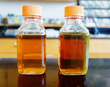 Mikroorganizmaların büyümesi için besin içeren ortam. Medya sıvı olarak kalabilir ya da serinlediğinde katı hale gelebilir.  