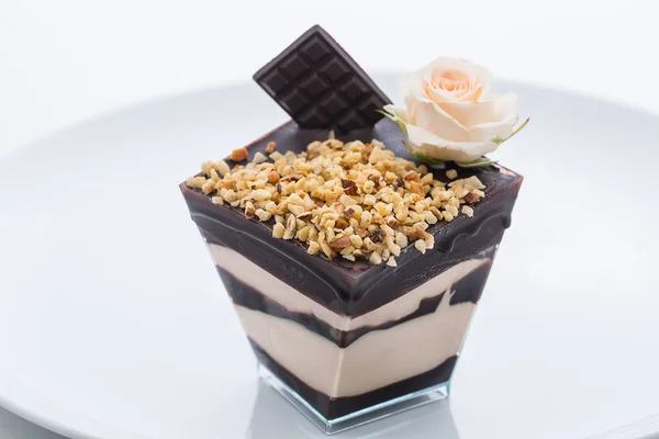 Gefrorener Joghurt-Schokoladenkuchen — Stockfoto