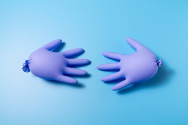 Stüdyoda parlak mavi bir arkaplanda iki mor şişirilmiş lateks eldiven. Üst görünüm yatay fotoğraf.