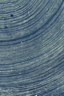 Endüstriyel kağıt rulosu.