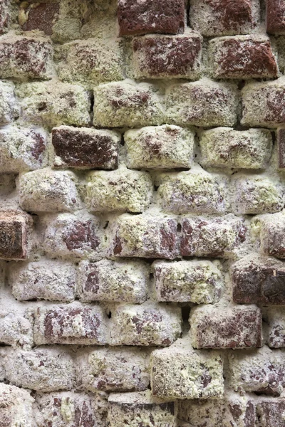 Grunge brick wall. — Stock Photo, Image