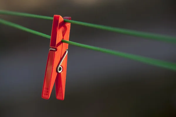 Pinza de ropa roja única . —  Fotos de Stock