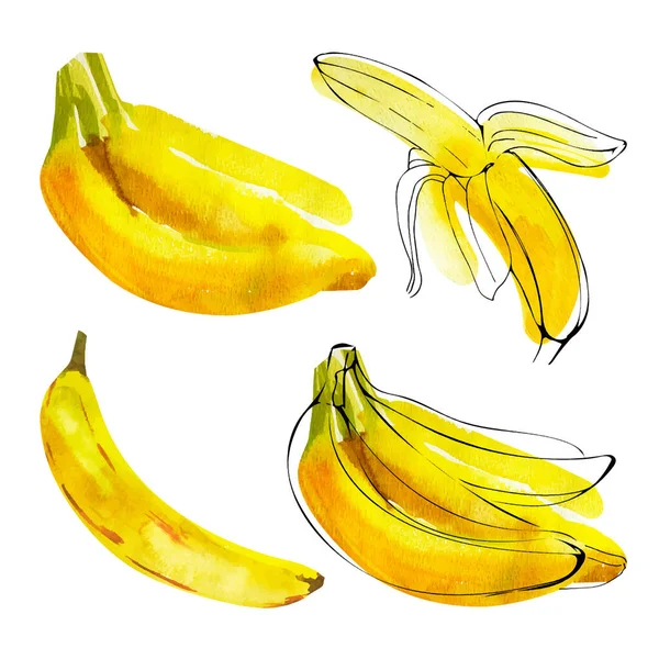 白を基調としたインクアウトラインシルエットの水彩バナナイラストのセット — ストック写真