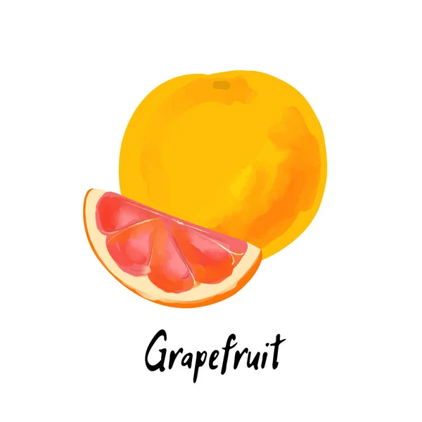 Illustration Der Grapefruit Mit Scheibe Einem Aquarell Stil Isoliert — Stockvektor