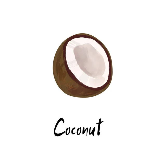 Ilustrace Kokosu Izolovaného Bílém Pozadí — Stockový vektor