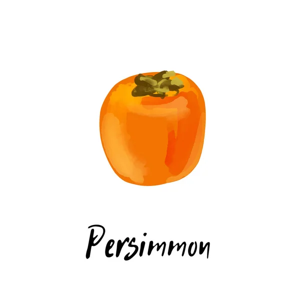 Ilustrace Persimmonu Izolovaného Bílém Pozadí — Stockový vektor