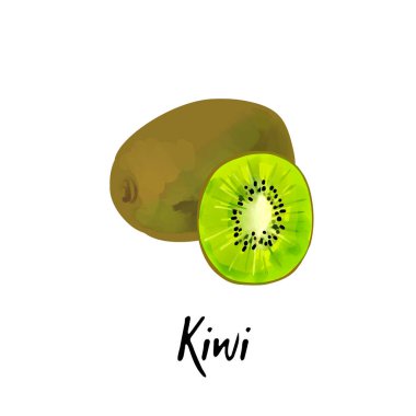 Beyaz arkaplanda izole edilmiş bir kivi tasviri.