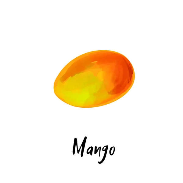 Beyaz Arka Planda Izole Edilmiş Bir Mango Tasviri — Stok Vektör