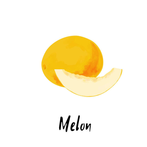 Illustration of a melon isolated on a white background.