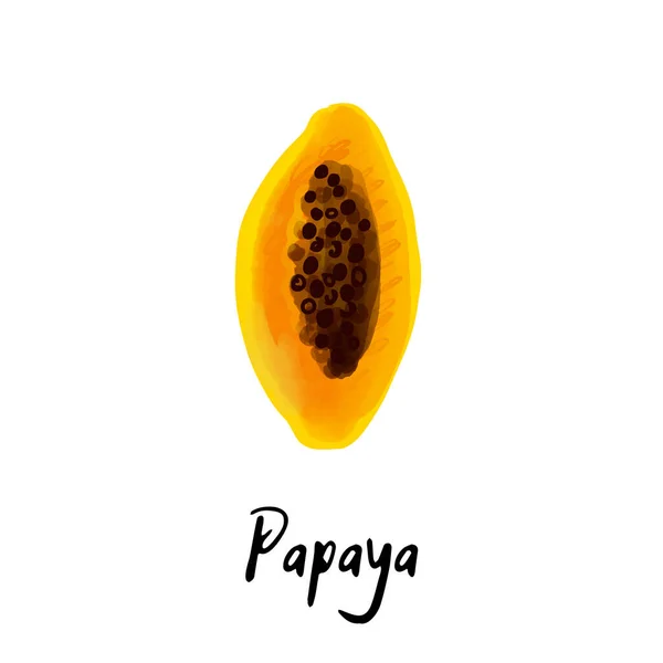Illustration Einer Papaya Frucht Isoliert Auf Weißem Hintergrund — Stockvektor
