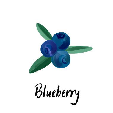 Yabanmersini illüstrasyonu beyaz arkaplanda izole edildi.