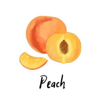 Illustration of a peach isolated on a white background.