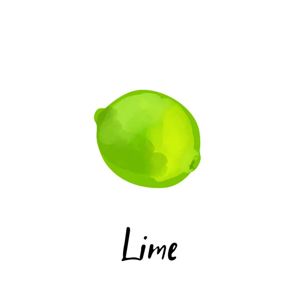 Illustration Lime Isolated White Background — 图库矢量图片