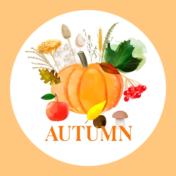 Autumn Harvest Illustration Pumpkin Apple Viburnum Leaves — Vetor de Stock