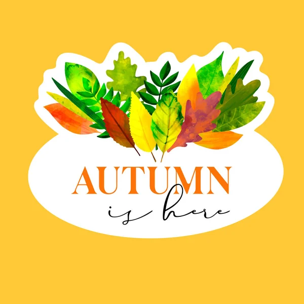 Sticker Autumn Leaves Illustration Text Autumn Here — Διανυσματικό Αρχείο