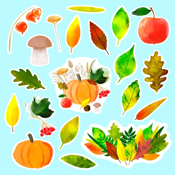 Set Stickers Autumn Illustration Colorful Leaves Autumn Harvest Pumpkin Apple — стоковый вектор