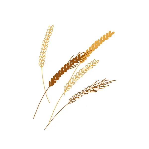 Wheat Spikelet Illustration Isolated White Background — Stock Vector