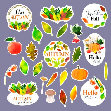 Set stickers Hello autumn with autumn illustration with colorful leaves and autumn harvest of pumpkin, apple, viburnum and mushroom.