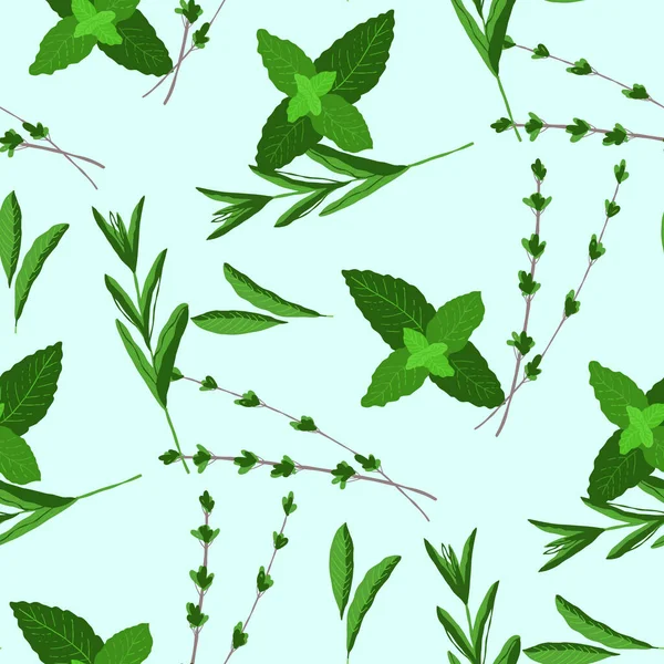 Zökkenőmentes Minta Gyógynövény Menta Kakukkfű Stevia Illusztráció Világoskék Háttér — Stock Vector