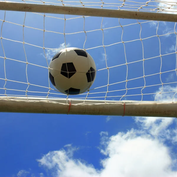 A ball on a net — Stock Photo, Image