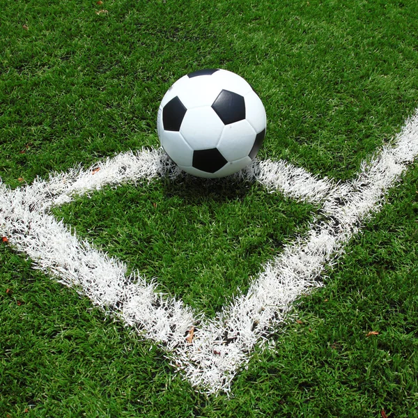 Soccer field grass — Stock Photo, Image
