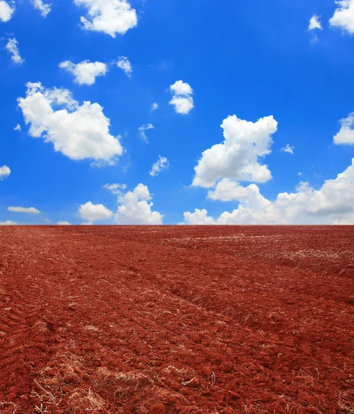 Χώμα και μπλε ουρανό — Φωτογραφία Αρχείου