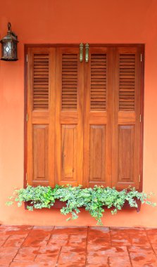 pencere arka çiçekli