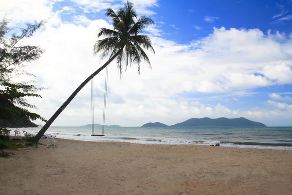 Kokosnussbaum auf weißem Sand — Stockfoto