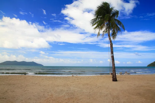 Kokosnussbaum auf weißem Sand — Stockfoto