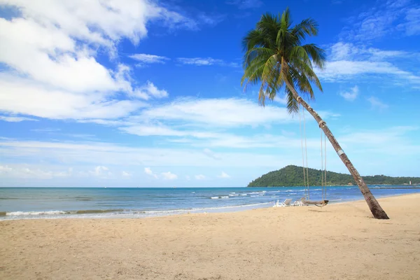 Kokosnussbaum auf weißem Sand — Stockfoto