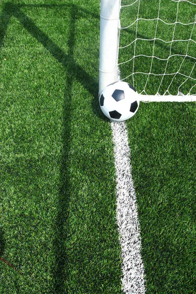 Soccer football field stadium grass line — Stock Photo, Image