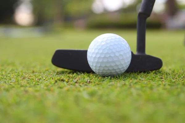 Golf Klub és a labdát. Felkészülés a lövés — Stock Fotó