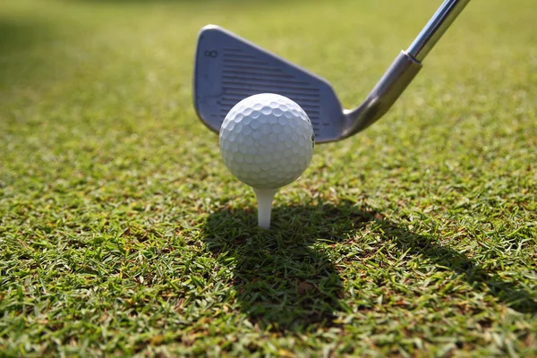 Palle da golf e driver su sfondo verde erba — Foto Stock