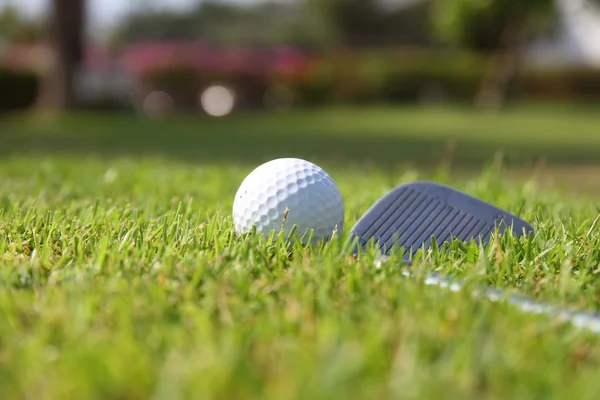 Palle da golf e driver su sfondo verde erba — Foto Stock
