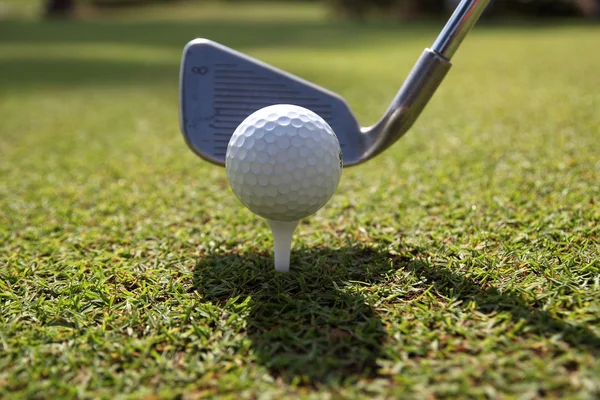 Golfbälle und Fahrer auf grünem Gras Hintergrund Stockbild