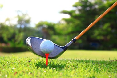 golf topları ve sürücü yeşil çim zemin üzerine