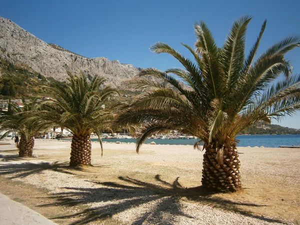 Omiš v Chorvatsku — Stock fotografie