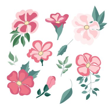 Çiçeklerden bir dizi kompozisyon. Pembe narin güller, Asya çiçekleri. Çiçekler ve bitkiler hafif arka planda. Kartpostal