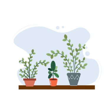 Saksıda ev bitkileri ve çiçekler. Beyaz arkaplanda düz stil vektör çizimi. Tasarım