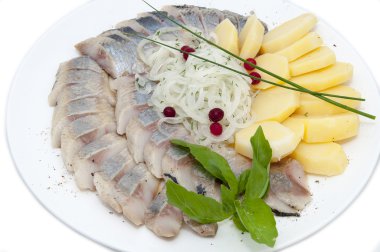 ringa balığı bir tabak